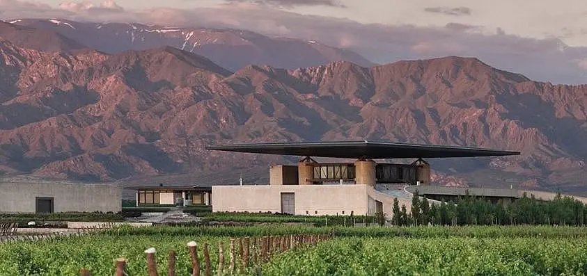 Imagen 4 Bodega Alfa Crux