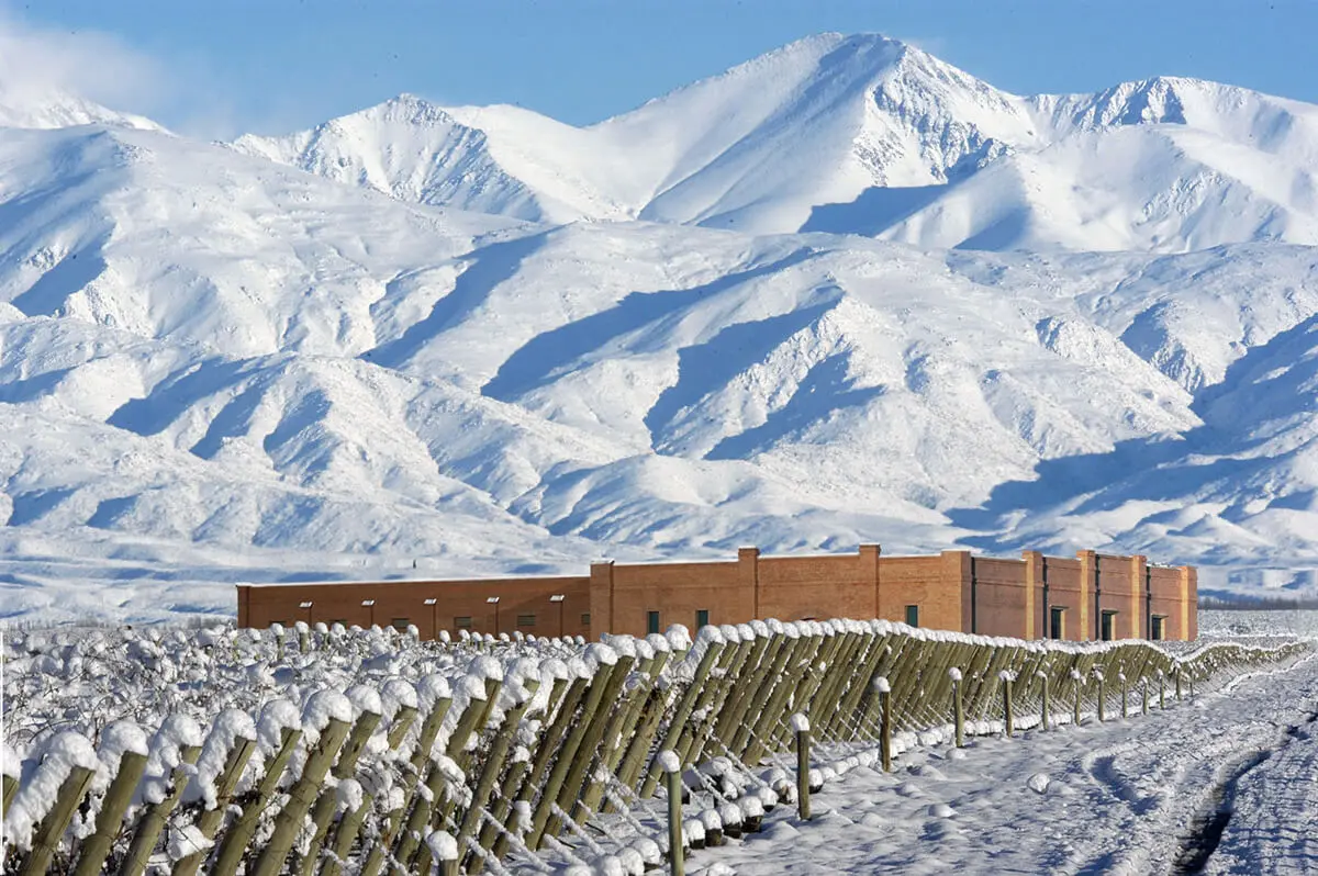 Bodega Andeluna
