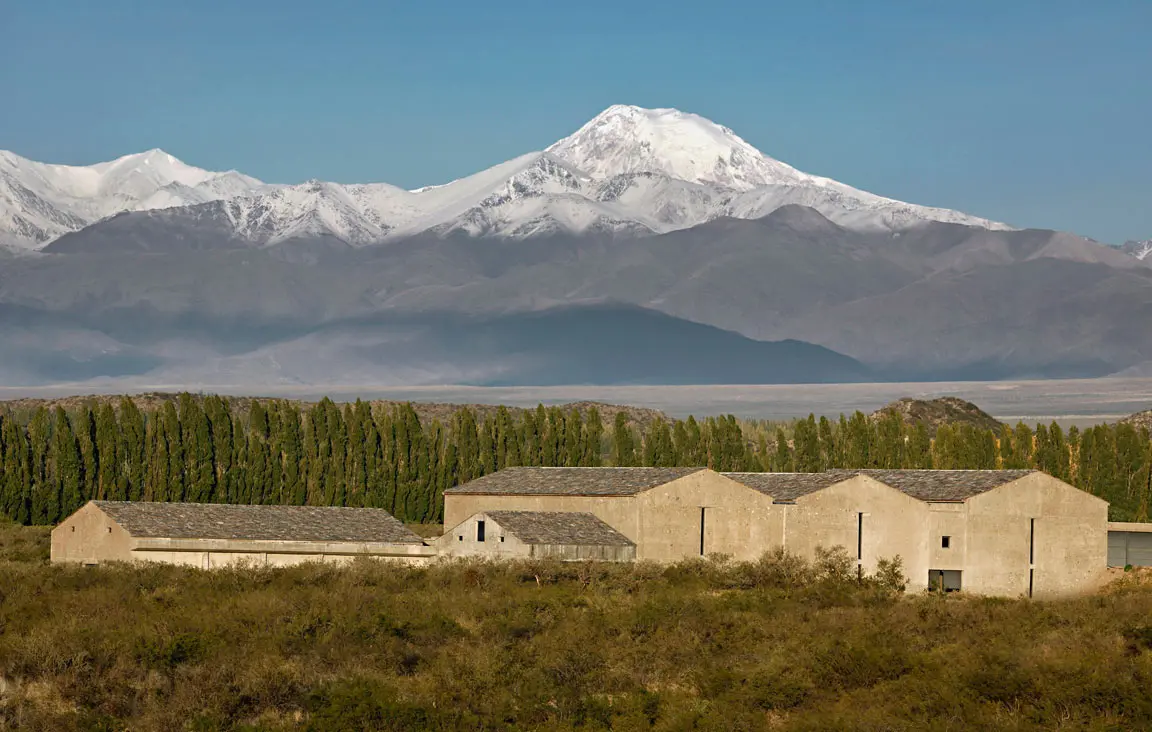 Bodega Atamisque