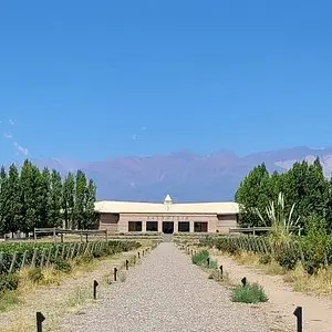 Imagen 2 Bodega La Azul