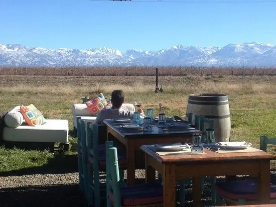 Imagen 3 Bodega La Azul