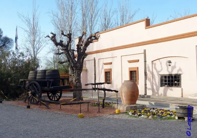 Imagen 4 Bodega La Rural