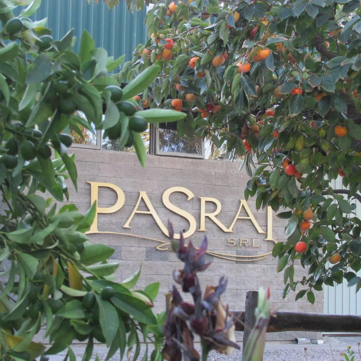 PASRAI